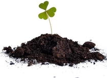 Земля плодородная органическая